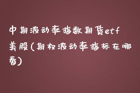 中期波动率指数期货etf美股(期权波动率指标在哪看)_https://www.zztgc.com_原油期货_第1张
