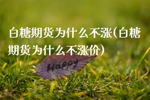 白糖期货为什么不涨(白糖期货为什么不涨价)_https://www.zztgc.com_期货开户_第1张