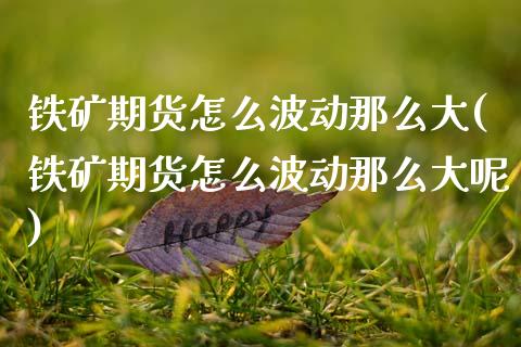 铁矿期货怎么波动那么大(铁矿期货怎么波动那么大呢)_https://www.zztgc.com_期货入门_第1张