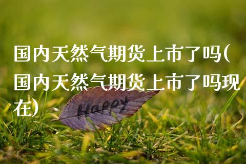 国内天然气期货上市了吗(国内天然气期货上市了吗现在)_https://www.zztgc.com_期货入门_第1张