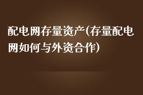 配电网存量资产(存量配电网如何与外资合作)_https://www.zztgc.com_期货直播_第1张