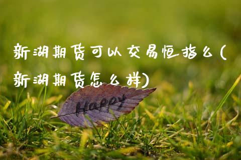 新湖期货可以交易恒指么(新湖期货怎么样)_https://www.zztgc.com_原油期货_第1张