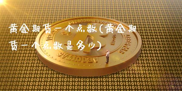 黄金期货一个点数(黄金期货一个点数是多少)_https://www.zztgc.com_期货直播_第1张