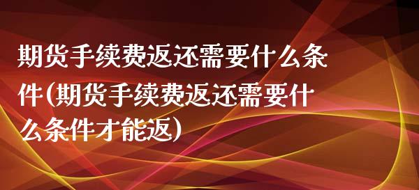 期货手续费返还需要什么条件(期货手续费返还需要什么条件才能返)_https://www.zztgc.com_黄金期货_第1张