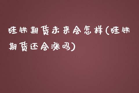 硅铁期货未来会怎样(硅铁期货还会涨吗)_https://www.zztgc.com_原油期货_第1张