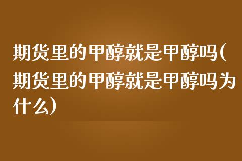 期货里的甲醇就是甲醇吗(期货里的甲醇就是甲醇吗为什么)_https://www.zztgc.com_原油期货_第1张
