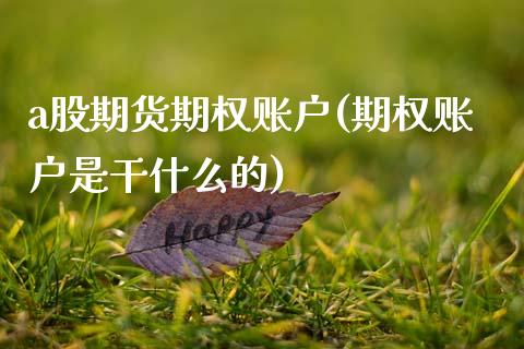 a股期货期权账户(期权账户是干什么的)_https://www.zztgc.com_期货行情_第1张