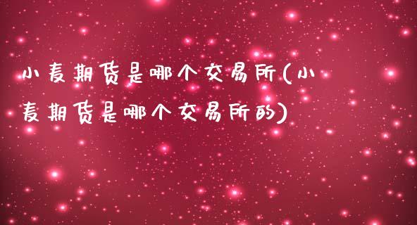 小麦期货是哪个交易所(小麦期货是哪个交易所的)_https://www.zztgc.com_期货直播_第1张