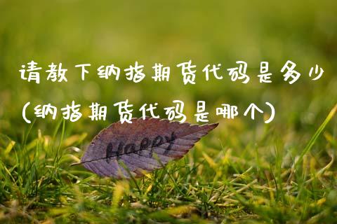 请教下纳指期货代码是多少(纳指期货代码是哪个)_https://www.zztgc.com_原油期货_第1张