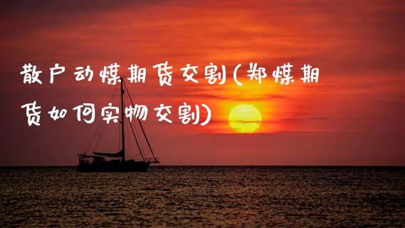 散户动煤期货交割(郑煤期货如何实物交割)_https://www.zztgc.com_期货行情_第1张