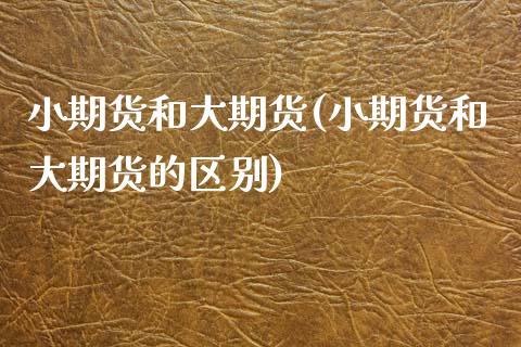 小期货和大期货(小期货和大期货的区别)_https://www.zztgc.com_原油期货_第1张