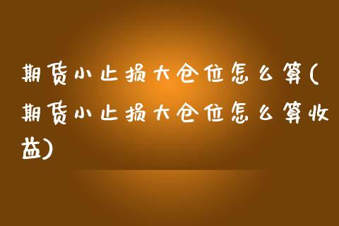 期货小止损大仓位怎么算(期货小止损大仓位怎么算收益)_https://www.zztgc.com_期货开户_第1张