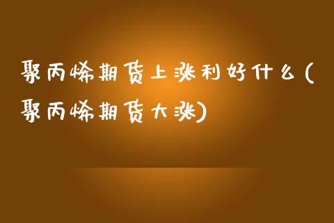 聚丙烯期货上涨利好什么(聚丙烯期货大涨)_https://www.zztgc.com_期货入门_第1张