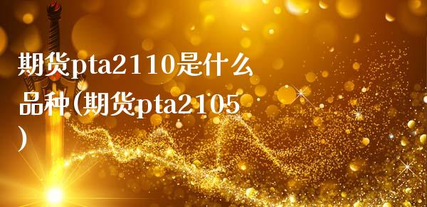 期货pta2110是什么品种(期货pta2105)_https://www.zztgc.com_期货直播_第1张