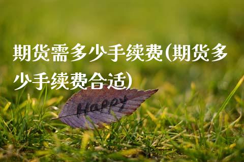 期货需多少手续费(期货多少手续费合适)_https://www.zztgc.com_原油期货_第1张