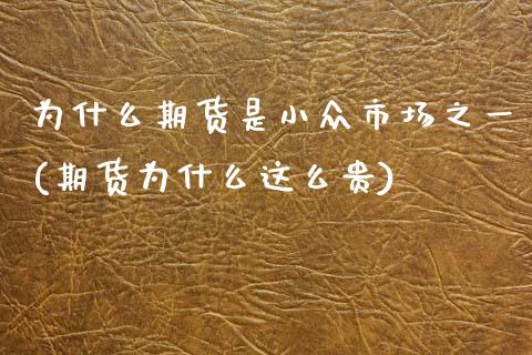 为什么期货是小众市场之一(期货为什么这么贵)_https://www.zztgc.com_原油期货_第1张