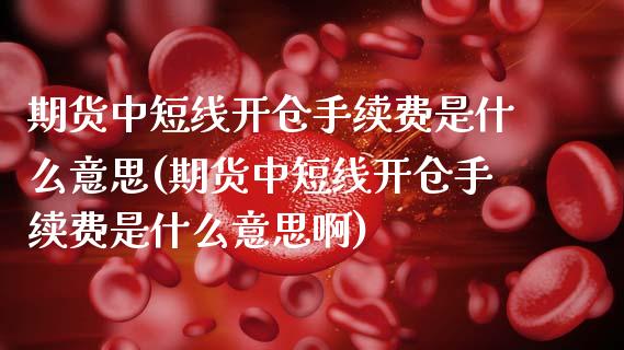 期货中短线开仓手续费是什么意思(期货中短线开仓手续费是什么意思啊)_https://www.zztgc.com_黄金期货_第1张