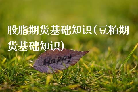 股脂期货基础知识(豆粕期货基础知识)_https://www.zztgc.com_黄金期货_第1张