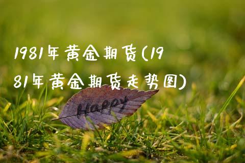 1981年黄金期货(1981年黄金期货走势图)_https://www.zztgc.com_黄金期货_第1张