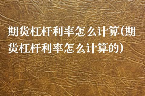 期货杠杆利率怎么计算(期货杠杆利率怎么计算的)_https://www.zztgc.com_原油期货_第1张