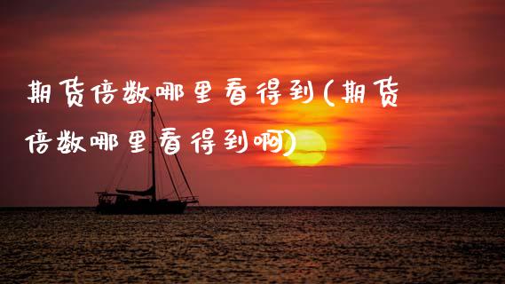 期货倍数哪里看得到(期货倍数哪里看得到啊)_https://www.zztgc.com_黄金期货_第1张