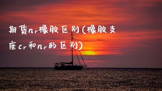 期货nr橡胶区别(橡胶支座cr和nr的区别)_https://www.zztgc.com_期货入门_第1张