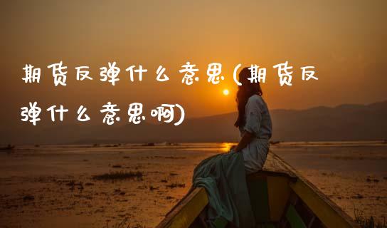 期货反弹什么意思(期货反弹什么意思啊)_https://www.zztgc.com_期货行情_第1张
