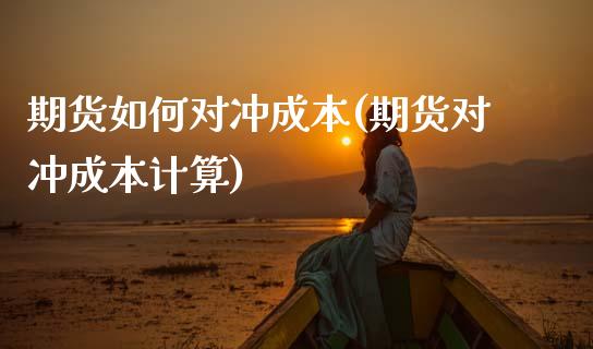 期货如何对冲成本(期货对冲成本计算)_https://www.zztgc.com_期货入门_第1张