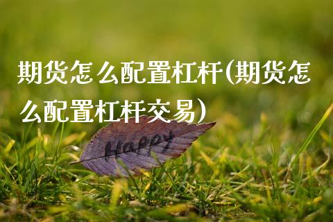 期货怎么配置杠杆(期货怎么配置杠杆交易)_https://www.zztgc.com_期货入门_第1张