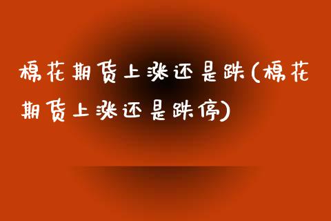 棉花期货上涨还是跌(棉花期货上涨还是跌停)_https://www.zztgc.com_原油期货_第1张