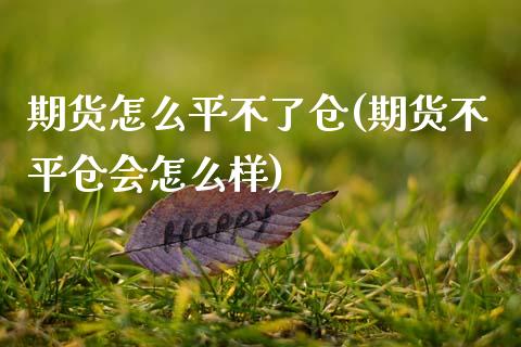 期货怎么平不了仓(期货不平仓会怎么样)_https://www.zztgc.com_黄金期货_第1张