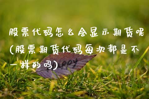 股票代码怎么会显示期货呢(股票期货代码每次都是不一样的吗)_https://www.zztgc.com_原油期货_第1张