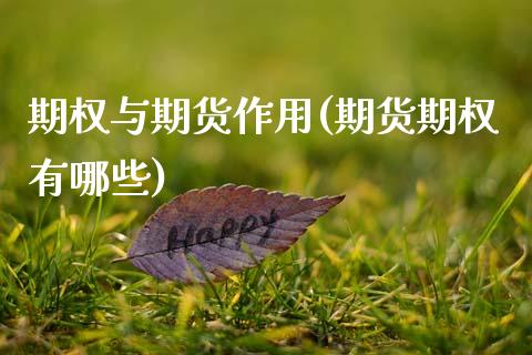 期权与期货作用(期货期权有哪些)_https://www.zztgc.com_期货入门_第1张