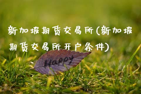 新加坡期货交易所(新加坡期货交易所开户条件)_https://www.zztgc.com_黄金期货_第1张