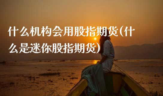什么机构会用股指期货(什么是迷你股指期货)_https://www.zztgc.com_期货开户_第1张