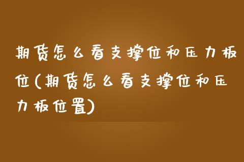 期货怎么看支撑位和压力板位(期货怎么看支撑位和压力板位置)_https://www.zztgc.com_黄金期货_第1张