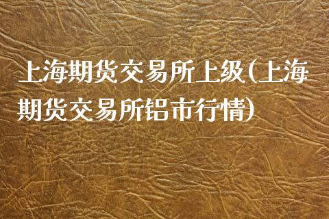上海期货交易所上级(上海期货交易所铝市行情)_https://www.zztgc.com_期货入门_第1张