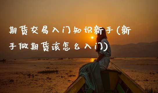 期货交易入门知识新手(新手做期货该怎么入门)_https://www.zztgc.com_期货行情_第1张