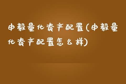 申毅量化资产配置(申毅量化资产配置怎么样)_https://www.zztgc.com_期货入门_第1张