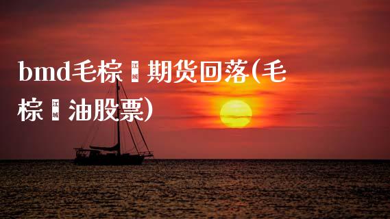 bmd毛棕榈期货回落(毛棕榈油股票)_https://www.zztgc.com_原油期货_第1张