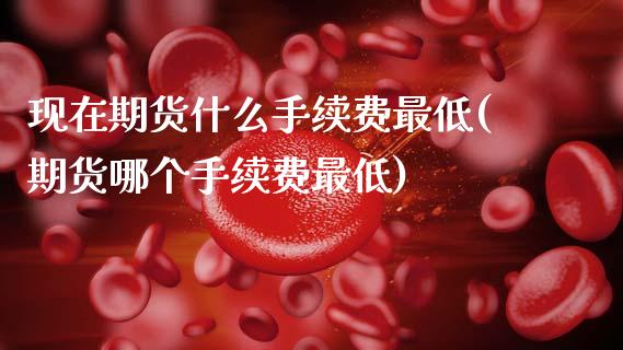 现在期货什么手续费最低(期货哪个手续费最低)_https://www.zztgc.com_原油期货_第1张