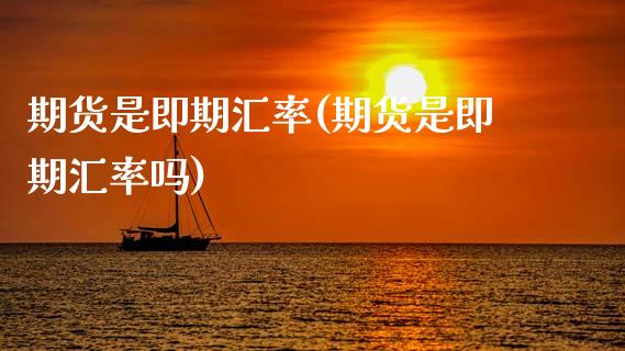 期货是即期汇率(期货是即期汇率吗)_https://www.zztgc.com_黄金期货_第1张