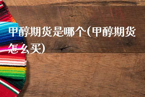 甲醇期货是哪个(甲醇期货怎么买)_https://www.zztgc.com_期货行情_第1张