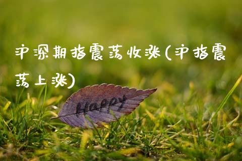 沪深期指震荡收涨(沪指震荡上涨)_https://www.zztgc.com_期货入门_第1张
