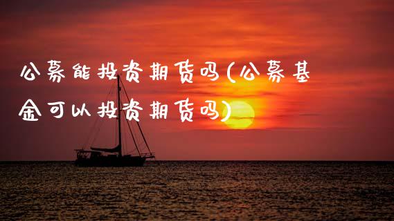 公募能投资期货吗(公募基金可以投资期货吗)_https://www.zztgc.com_期货开户_第1张
