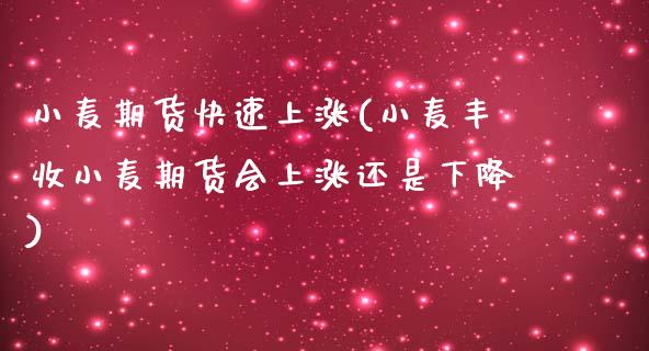 小麦期货快速上涨(小麦丰收小麦期货会上涨还是下降)_https://www.zztgc.com_期货行情_第1张