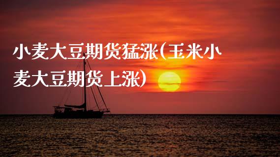 小麦大豆期货猛涨(玉米小麦大豆期货上涨)_https://www.zztgc.com_期货直播_第1张