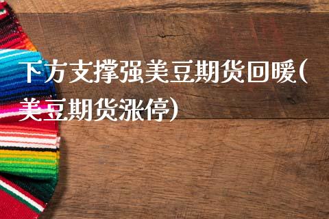 下方支撑强美豆期货回暖(美豆期货涨停)_https://www.zztgc.com_期货行情_第1张