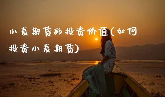 小麦期货的投资价值(如何投资小麦期货)_https://www.zztgc.com_期货入门_第1张