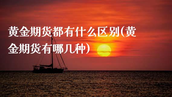 黄金期货都有什么区别(黄金期货有哪几种)_https://www.zztgc.com_期货行情_第1张